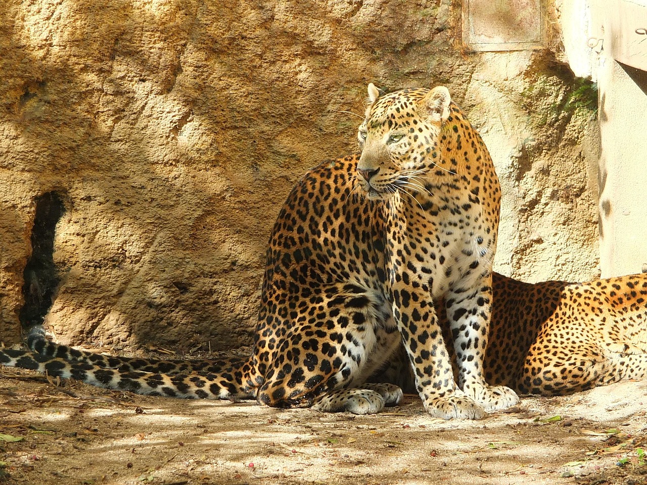 Short Break Tour In Sri Lanka