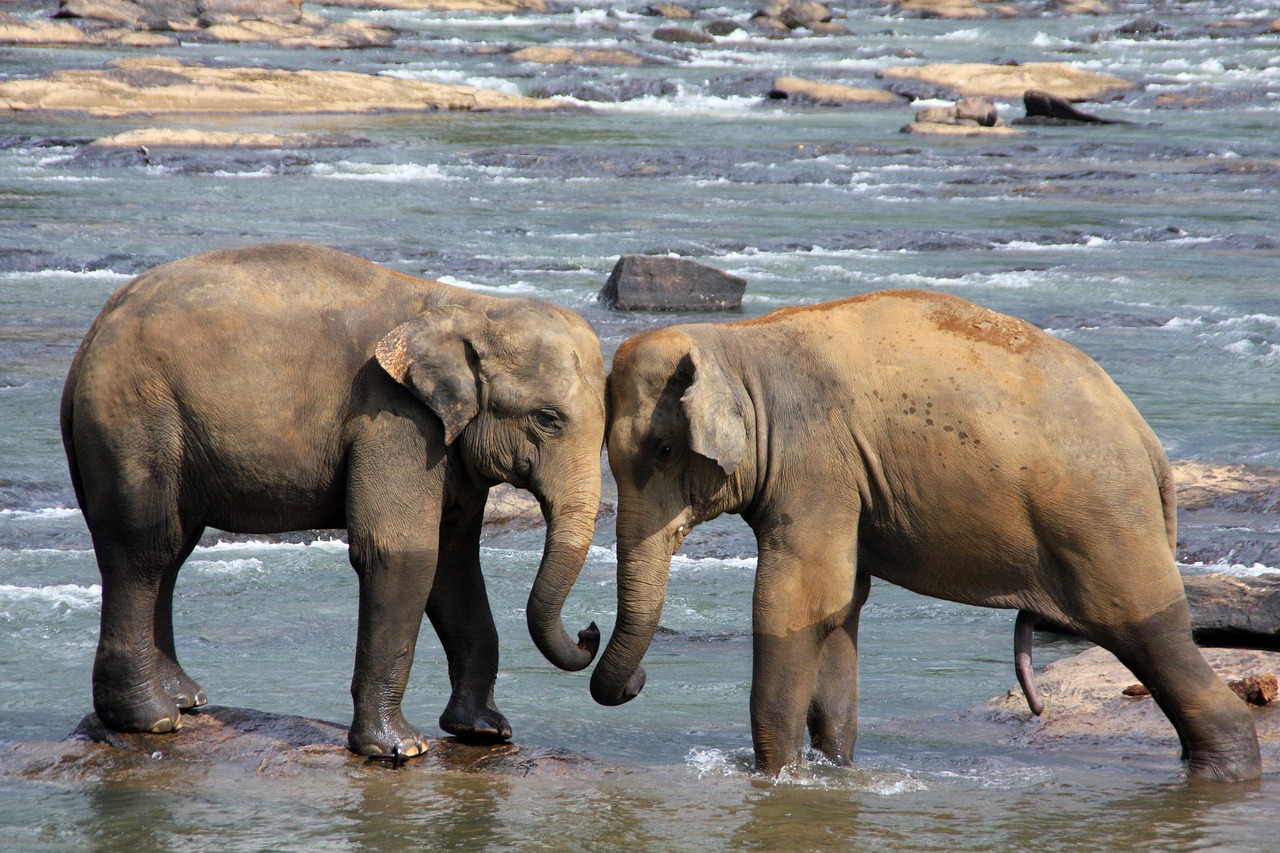 Golden Route of Sri Lanka