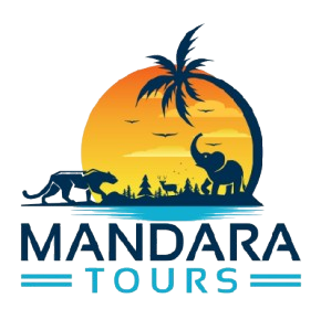 Mandara Tours Taxi | Trusted Travel Partner in Sri Lanka
